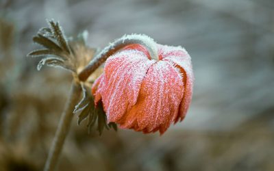 Affrontez l’hiver grâce aux massages