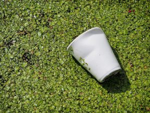 emballage non recyclable dans la nature