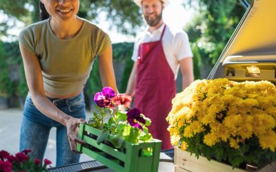 Faites-vous livrer des fleurs sur Toulouse pour assainir votre maison !