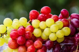 Alimentation Bio