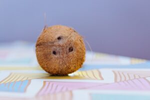 aliments bio exotiques