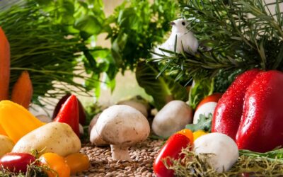 Cuisine bio avec des ingrédients de saison : trouver des produits bio frais toute l’année