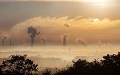 Déforestation et changement climatique : comment la France peut-elle agir pour préserver les forêts ?