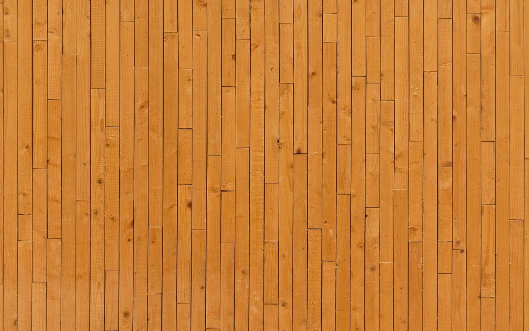 La maison en bois : comment les maisons en bois écologiques gagnent du terrain.