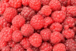 Cuisine Bio Locale