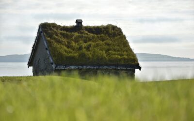 Le toit végétal : toutes les raisons pour lesquelles le toit vert est l’avenir de la construction écologique.