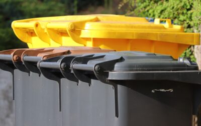 Le tri des déchets : comment trier efficacement ses déchets pour faciliter leur recyclage et réduire leur impact environnemental ?