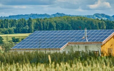 Les énergies renouvelables à la maison : comment installer des panneaux solaires ou des éoliennes domestiques pour produire de l’énergie renouvelable à la maison ?