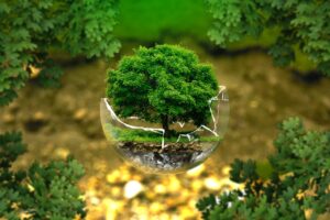 Pollution des sols