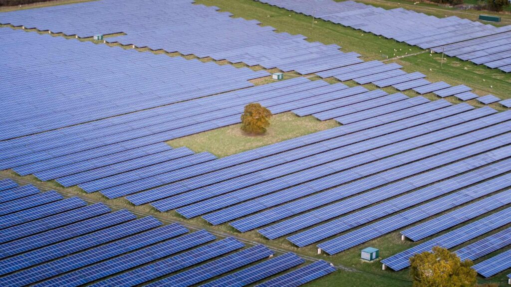champs de panneaux solaire