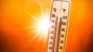 canicule