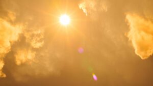 canicule