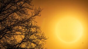 canicule