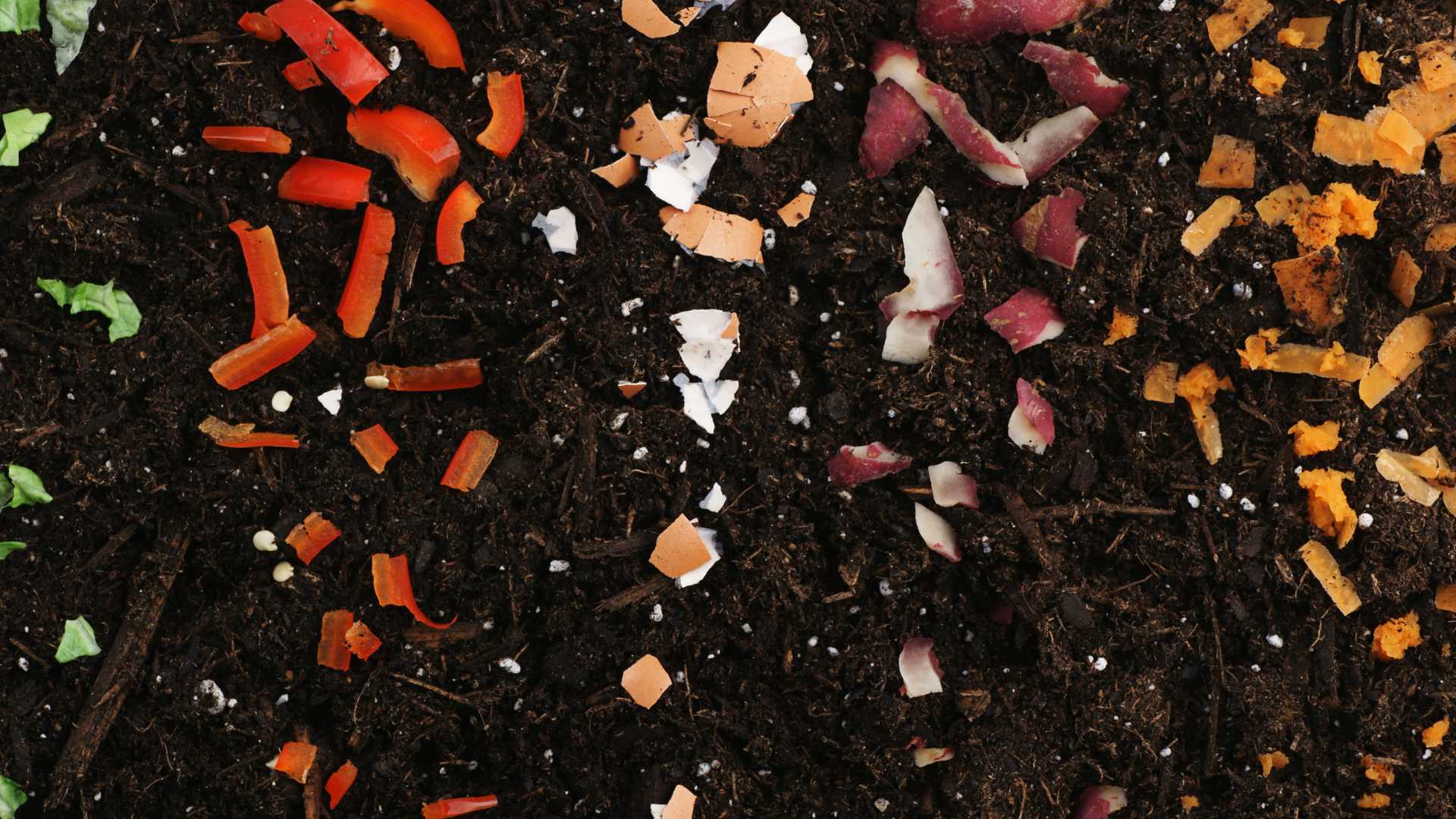 déchets organique