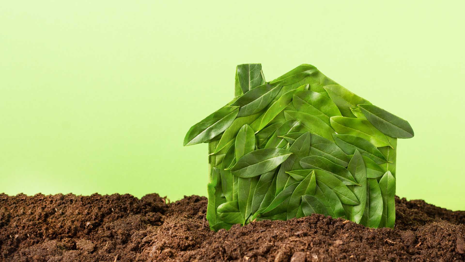 Petite maison en feuille d'arbre 