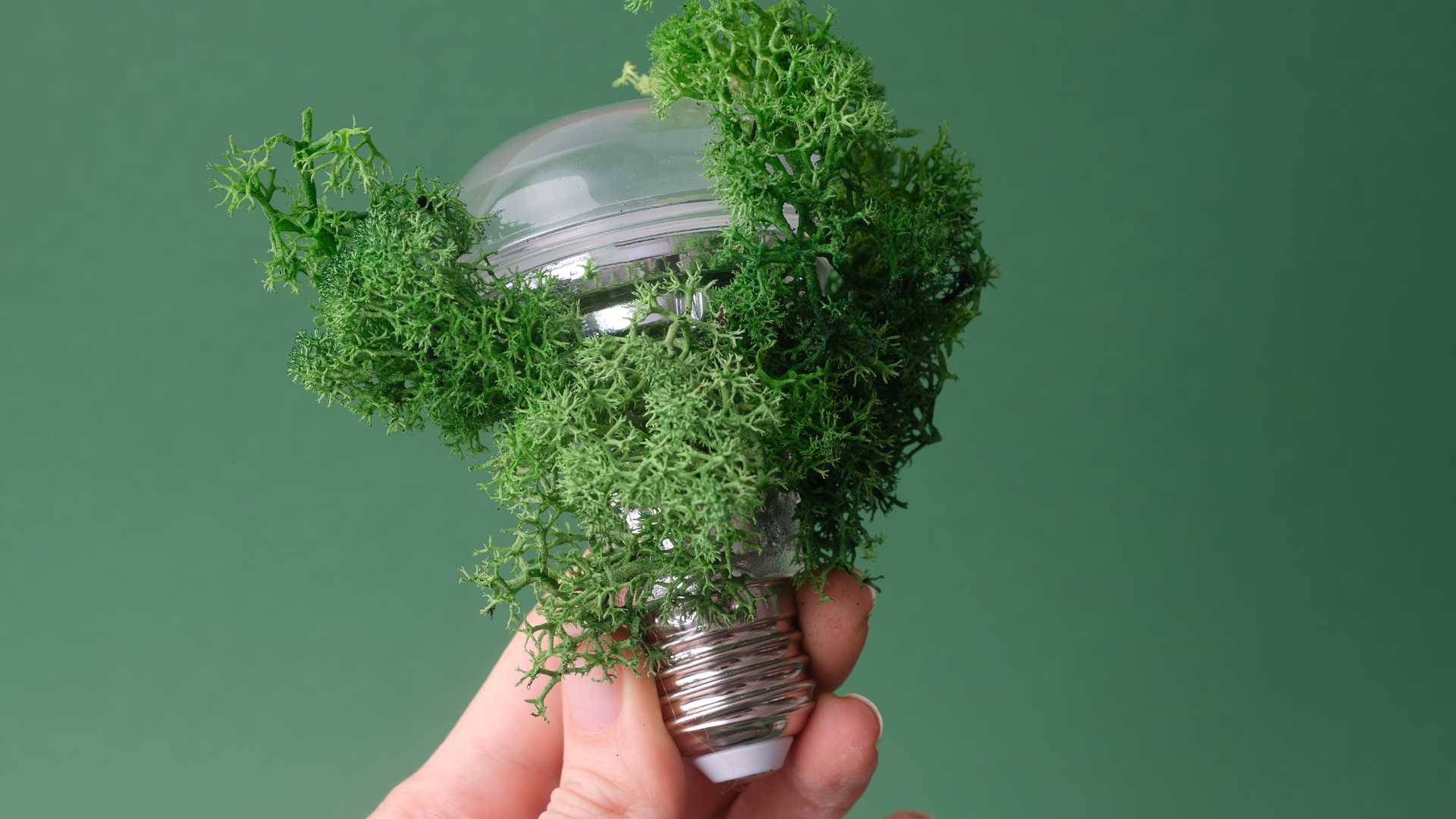 Ampoule avec de la verdure dessus 