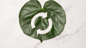 Feuille d'un arbre avec logo de l'économie circulaire