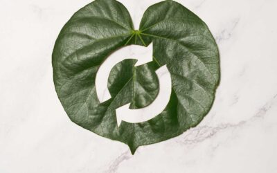 Économie circulaire : Principe, avantages et mise en œuvre