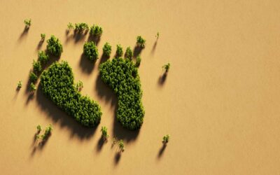 Les 10 actions quotidiennes pour réduire son empreinte carbone