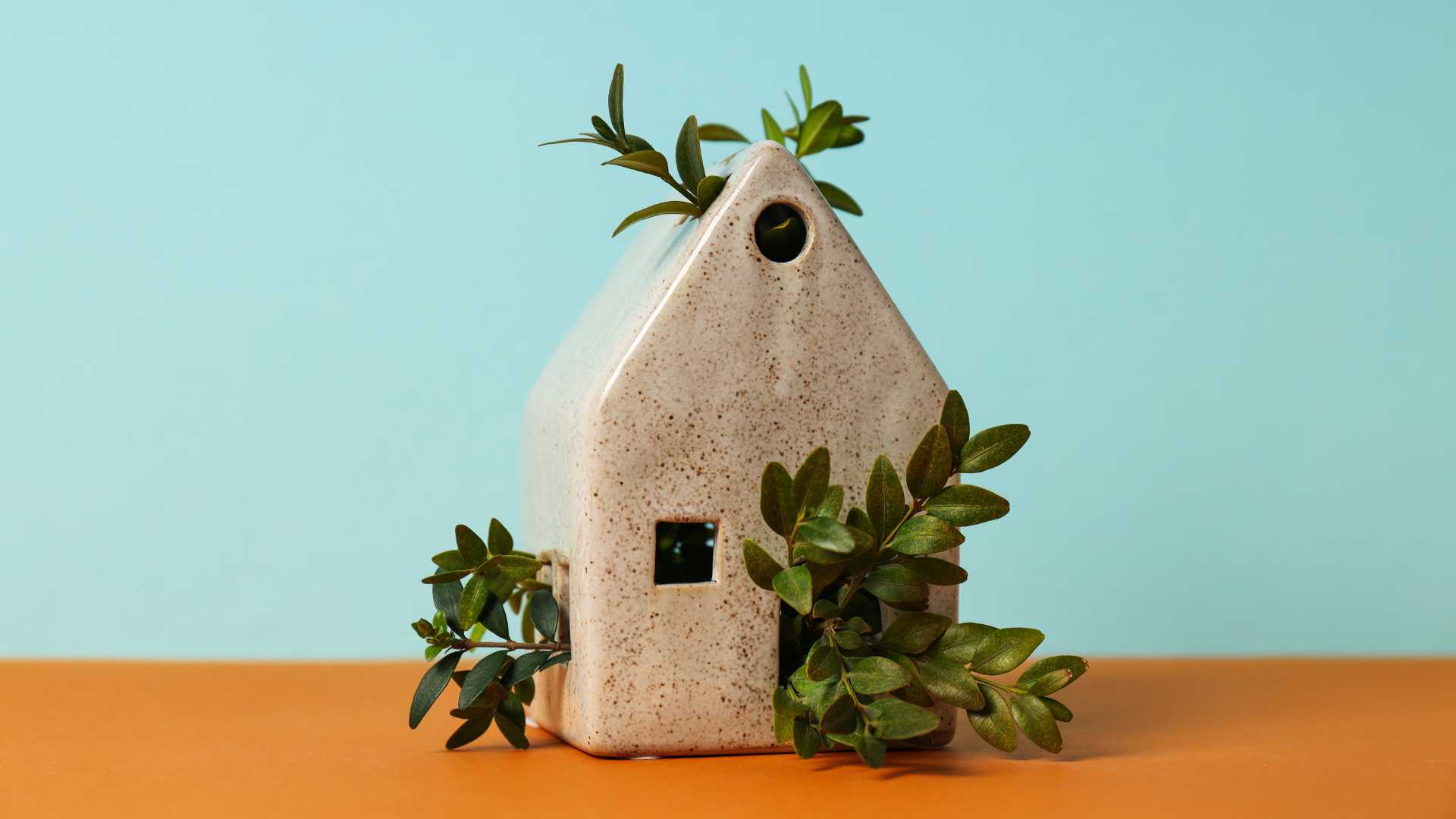Petite maison rempli de feuillage 