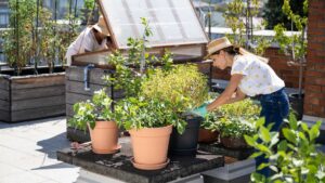 jardin urbain
