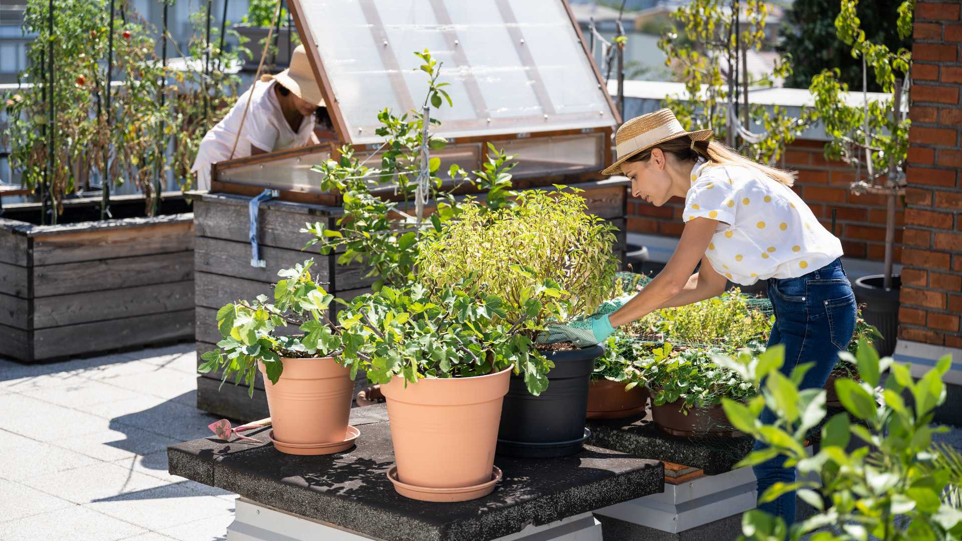 jardin urbain