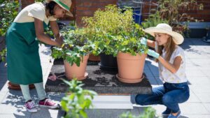 jardin urbain