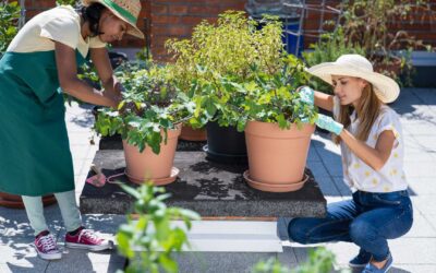 Les jardins urbains : Outils de biodiversité et de bien-être