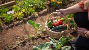 Jardin éco responsable