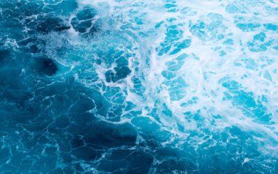 Le rôle crucial des océans dans l’équilibre écologique de la planète