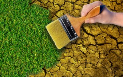 Peintures écologiques : Pourquoi et comment les choisir