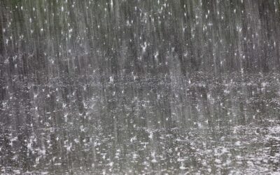 Récupération d’eau de pluie : Systèmes et avantages