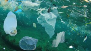 pollution plastique