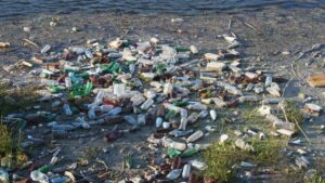 pollution plastique