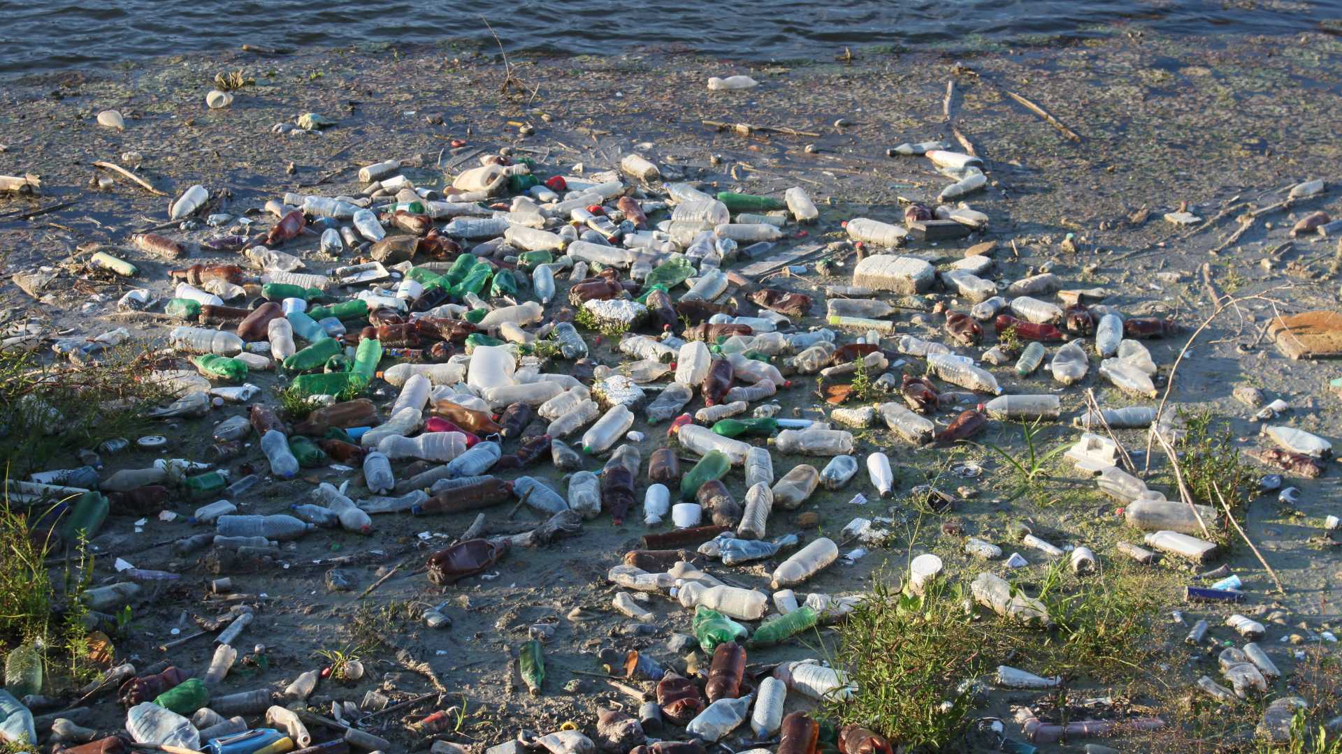 pollution plastique