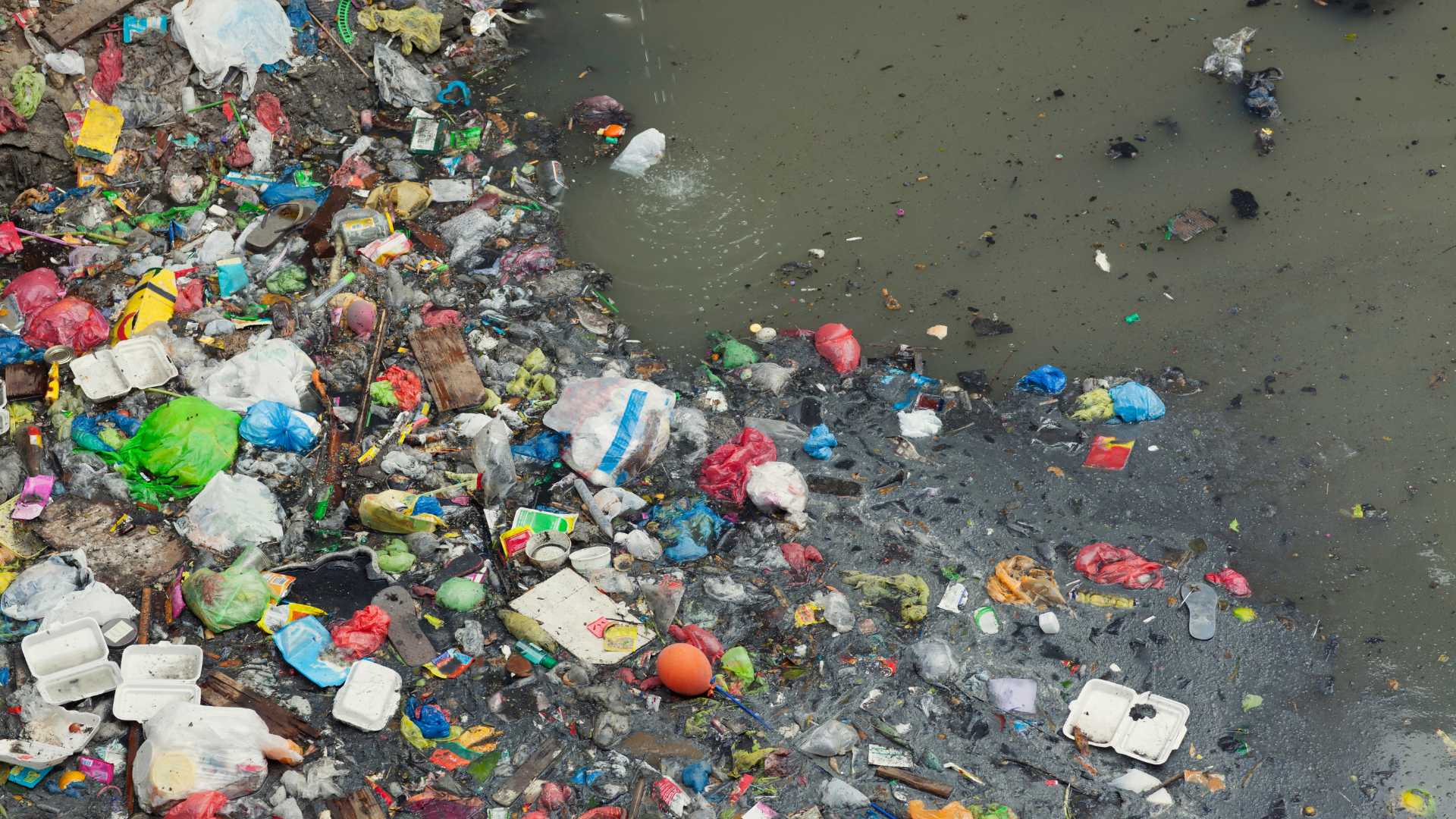 pollution plastique
