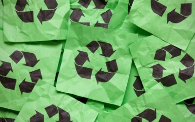 Comment le recyclage peut sauver la planète : Mythes et réalités