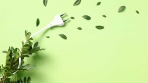 Prise murale avec des plantes