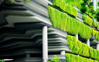 Les villes vertes de demain : Innovation et durabilité