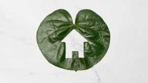 eco-conception d'une bâtiment