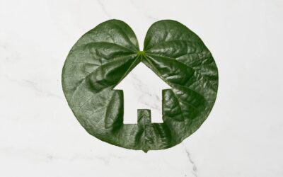 Certifications écologiques pour maisons : Comprendre les labels