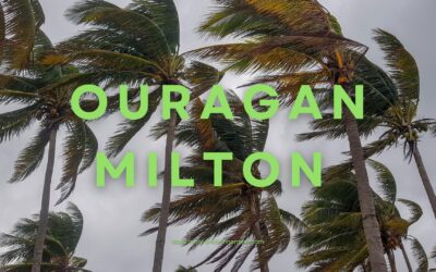Ouragan Milton : Quels seront les dégâts pour l’environnement ?
