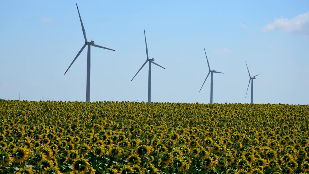 énergies renouvelables