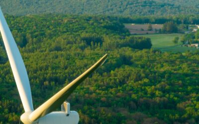 La transition énergétique : innovations et obstacles sur la route du zéro carbone