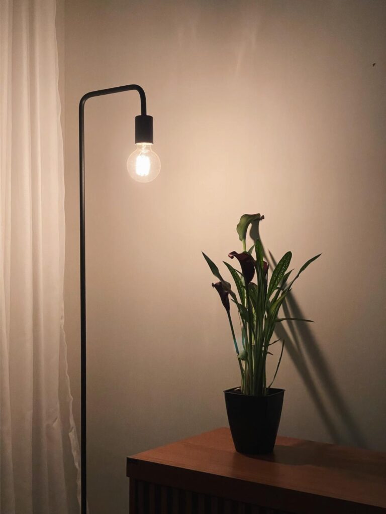 gaz electricite maison